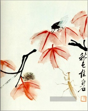  china - Qi Baishi likvidambra taiwan und die Zikade alte China Tinte